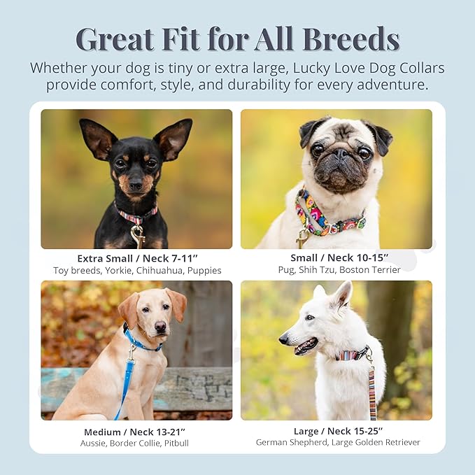 Lucky Love Dog - Adjustable Dog Collar with Easy Click Buckle for Small Ones, Durable, & Comfortable for Male & Female Dogs, Pet Collar for Puppies & Adult Dogs - Laguna, XS