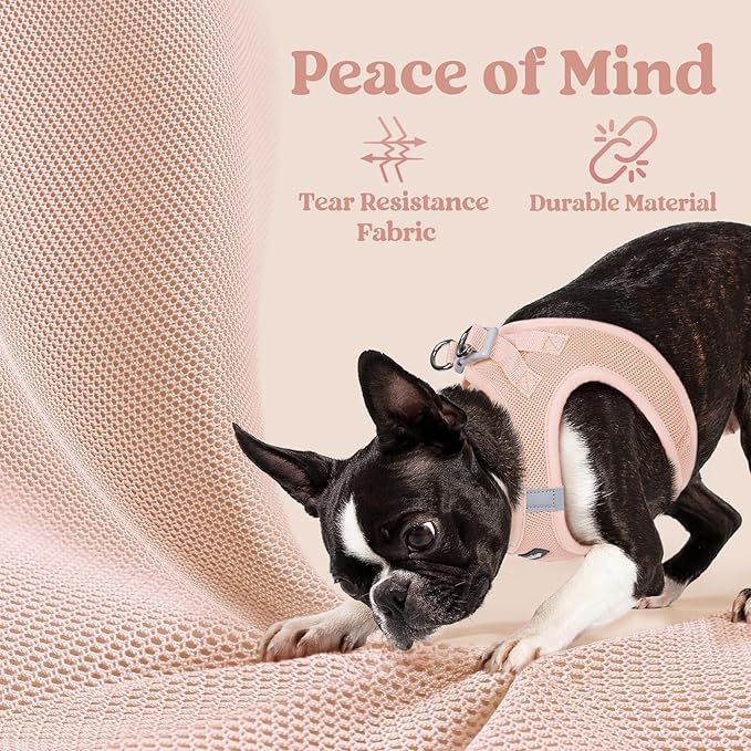 rabbitgoo Small Dog Harness, Step-in Soft Mesh Puppy Vest with Safety Buckle, Breathable Reflective Pet Harness for Small Sized Dogs, Pink S
