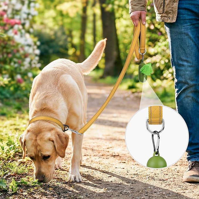 Joytale Dog Leash, 4 FT Double-Sided Reflective, Padded Handle Nylon Heavy Duty Leashes for Medium & Large Dogs Walking, Khaki