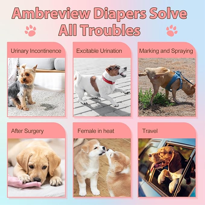Ambreview Disposable Dog Diapers Female, Just Pull It Up, Doggie Diapers for Female Dogs, Strong Absorbency | Leak Proof, for Dogs in Heat | Elderly | Disabled, M 30 PCS