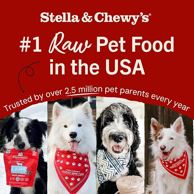 Stella & Chewy's Freeze-Dried Raw Tantalizing Turkey Meal Mixers- Dog Food Topper and Mixer - Made with 95% Cage-Free Turkey, Organs & Bone - Perfect for Picky Eaters - Grain-Free - 35 oz