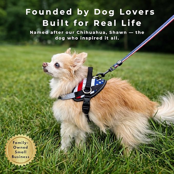 ShawnCo Essential Dog Harness, No-Pull Pet Vest with 3 Leash Clips, No Choke, Reflective, Adjustable and Padded, for Easy Walking and Training for Small, Medium and Large Dogs (Seafoam, XL)
