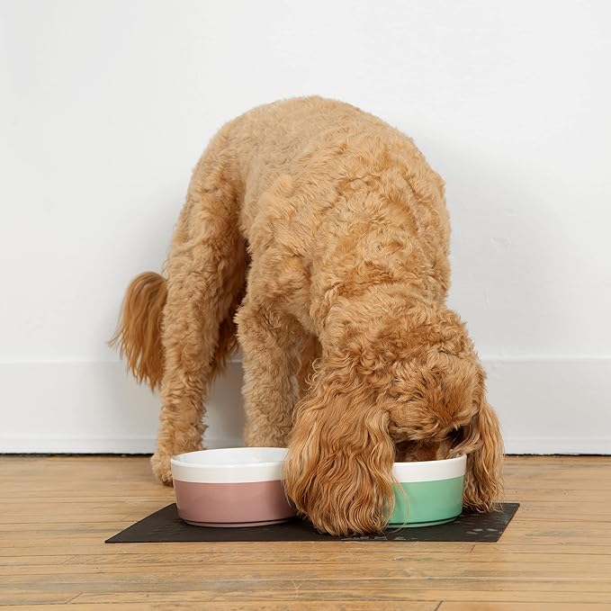 Waggo Dipper Ceramic Dog Bowl for Small and Large Breeds - Heavyweight and Durable Pet Food and Water Dish Crock, Dishwasher Safe, Modern (Mauve, Small)