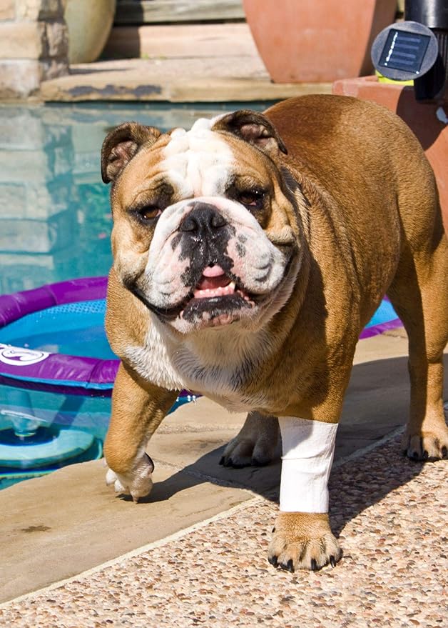 Protective Sleeve Tubular Cover - Bandages - for Dogs Cats and Other Pets First Aid Wound Care Comfortable Non-Adhesive Breathable & Water Resistant 12 Strips (yields 24-36 Covers)-(X-Small)