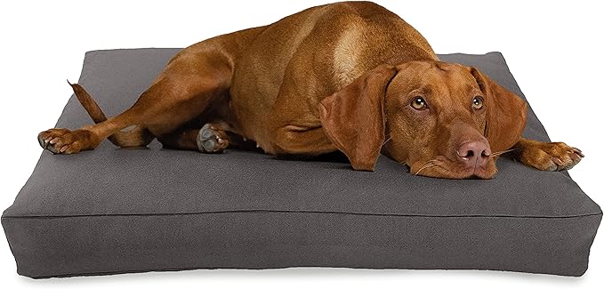 XX-Large - 54 x 36 x 6 - Shadow Gray Premium Organic Hemp Dog Bed - Organic Latex Fill - Removeable Cover