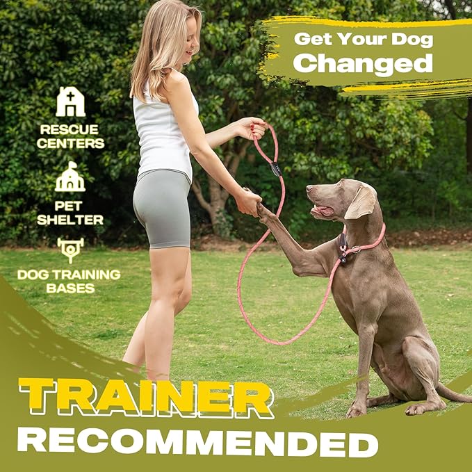 Fida Durable Slip Leads for Dogs, 6 FT x 1/2" Heavy Duty Dog Loop Leashes, Comfortable Strong Rope Slip Leash for Small Dogs and Puppies, No Pull Pet Training Lead with Highly Reflective(1/2", Pink)