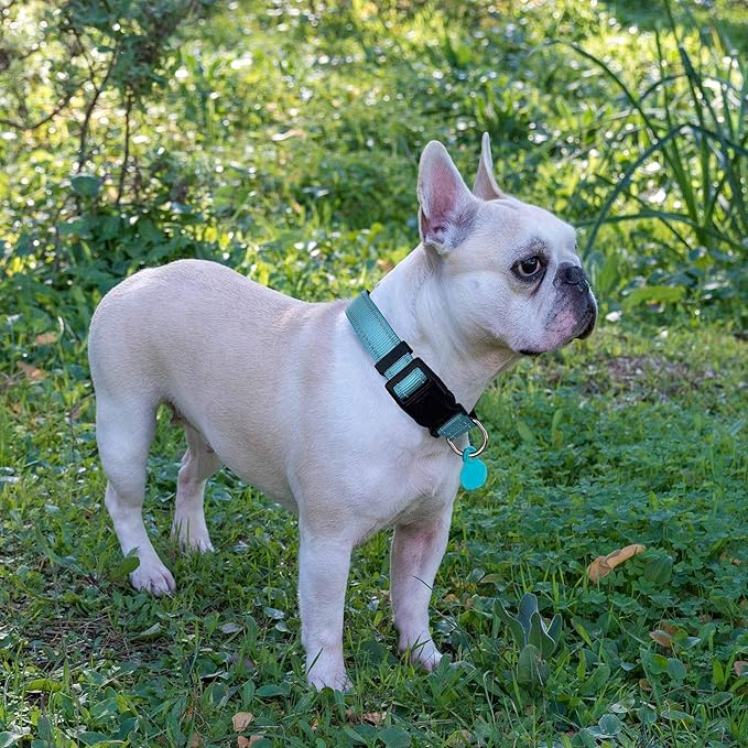 Reflective Dog Collar Padded with Soft Neoprene Breathable Adjustable Nylon Dog Collars for Small Medium Large Dogs (Collar+Leash L Neck 19"-23.5", Blue)