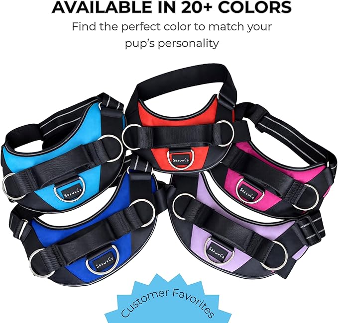 ShawnCo Essential Dog Harness, No-Pull Pet Vest with 3 Leash Clips, No Choke, Reflective, Adjustable and Padded, for Easy Walking and Training for Small, Medium and Large Dogs (Oceanic Blue, Medium)