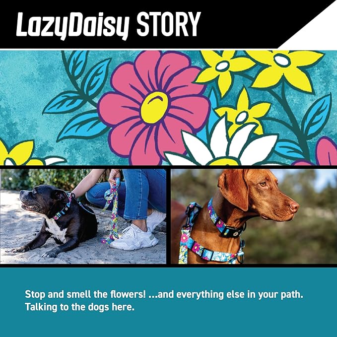 Wolfgang Heavy Duty Adjustable Dog Harness, Pull-Tested for Walking & Training, LazyDaisy Print, Medium