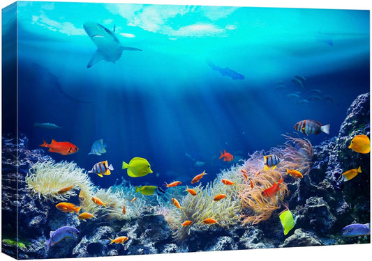 wall26 Canvas Print Wall Art Shining Sunlight Coral Reef Shark & Fish Nature Animals Photography Realism Rustic Scenic Landscape Wilderness Earth Colorful for Living Room, Bedroom, Office - 12"x18"