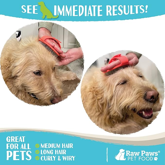 Raw Paws Grooming Brush, 1 ct - Hand-Held Rubber Tipped Pin Brush for Dogs & Cats - Deshedding Dogs with Short Hair & Long Hair - Dog Grooming