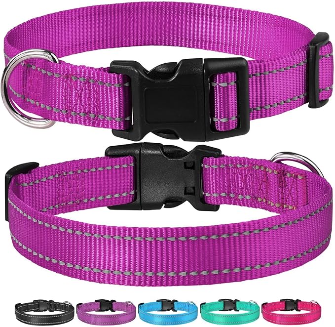 Reflective Dog Collar with Buckle Adjustable Safety Nylon Collars for Small Medium Large Dogs, Purple L