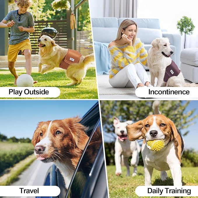 Washable Male Dog Diapers Reusable, Premium Belly Bands for Male Dogs, Pack of 3, High Absorbing Extra Small Male Dog Pee Wraps for Doggie in Incontinence or Excitable Urination and Training(XS)