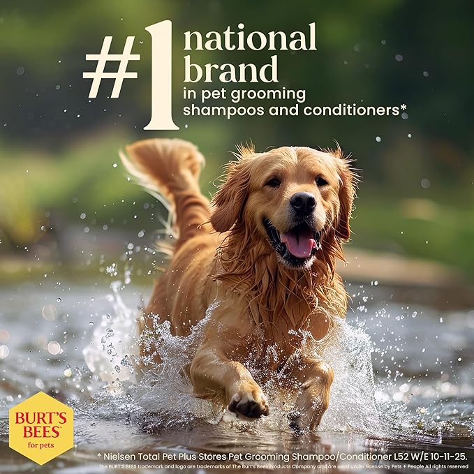 Burt’s Bees for Pets Oatmeal Dog Shampoo with Honey, Soothing Dog Shampoo for Itchy and Sensitive Skin, pH Balanced Formula that Gently Cleans and Moisturizes Dog Coats, 32 Fl Oz - 2 Pack