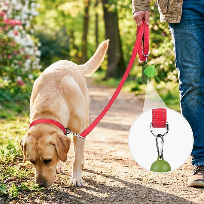 Joytale Dog Leash, 4 FT Double-Sided Reflective, Padded Handle Nylon Heavy Duty Leashes for Small Dogs Walking, Red