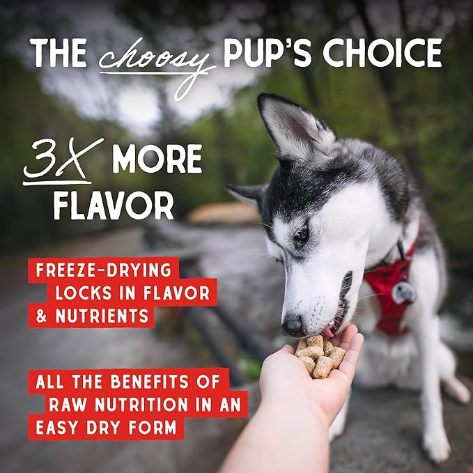 Stella & Chewy's Freeze-Dried Raw Tantalizing Turkey Meal Mixers- Dog Food Topper and Mixer - Made with 95% Cage-Free Turkey, Organs & Bone - Perfect for Picky Eaters - Grain-Free - 1 oz