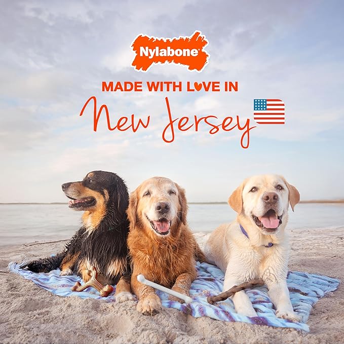 Nylabone Original Bone Flexi Chew Toy for Dogs, Flexible Dog Toys for Moderate Chewers, Chicken Flavor, Medium - Up to 35 lbs, 1 Count