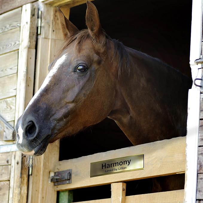 Personalized Horse Stall Name Plates, 2x8 Horse Stall Signs with Adhesive, All Weather UV Protected, Brown Plastic White Letters - Made in USA - B25