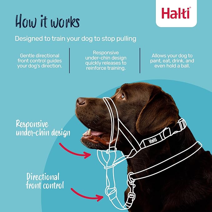 Halti Headcollar - Stop Your Dog Pulling on the Leash. Adjustable, Reflective and Lightweight, with Padded Nose Band. Dog Training Anti-Pull Collar for Large Dogs (Size 4, Black)