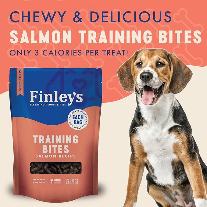 Finley's Training Treats for Puppies, Soft Salmon Dog Treats for All Dogs and Sizes, Limited Ingredient, Low Calories, 16oz, 1 Pack