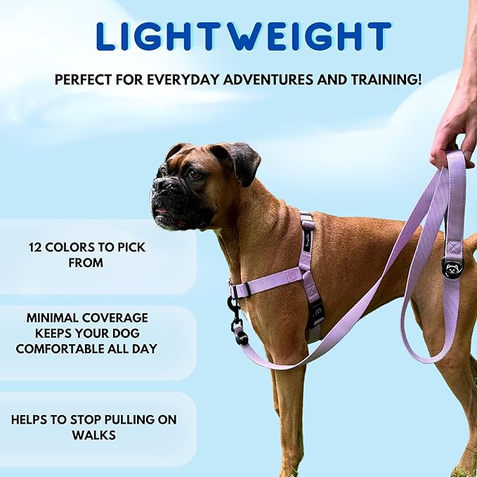 ShawnCo Dream Walk No-Pull Dog Harness- Adjustable, Comfortable, Easy to Use Pet Halter to Help Stop Pulling for Small, Medium and Large Dogs (Oceanic Blue, L)