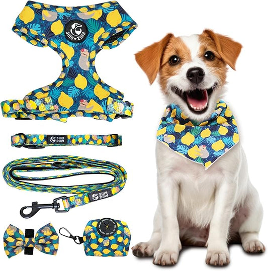 No Pull Harness and Leash Set - 6-in-1 Adjustable Vest Harness and Collars for Medium and Large Dogs. (Lemon, Large)
