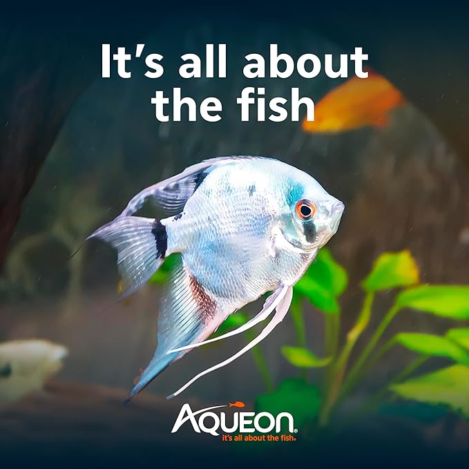 Aqueon Fish Tank Aquarium Essentials Starter Kit for 10 Gallon Tanks