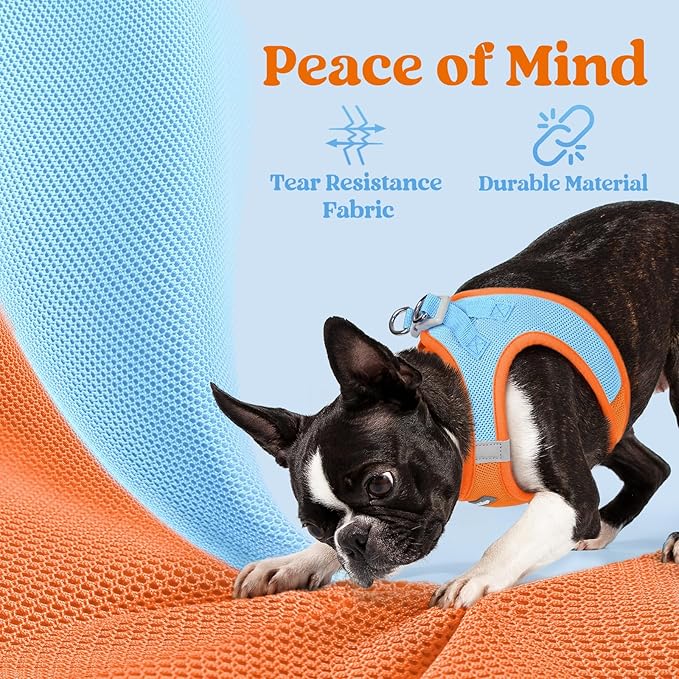 rabbitgoo Small Dog Harness, Step-in Soft Mesh Puppy Vest with Safety Buckle, Breathable Reflective Pet Harness for Small Medium Dogs, Blue & Orange L