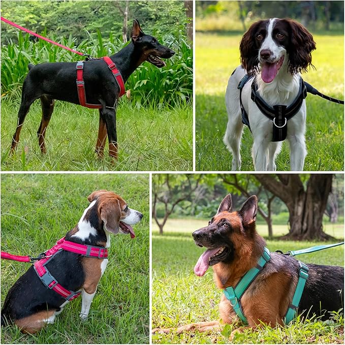 Plutus Pet No Pull Dog Harness, Adjustable Nylon Harness with Soft Padding, Reflective and Heavy Duty Dog Harness for Small, Medium, Large Dogs(Ranger Green, XS)
