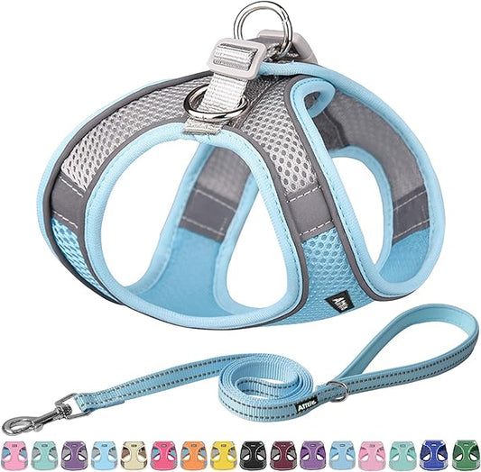 AIITLE Easy Walk Dog Harness and Leash Set - Pet Supply No Pull, Step in Adjustable Dog Harness with Padded Vest, Dog Harness No Choke Over, Easy to Put on Medium Dogs Blue L