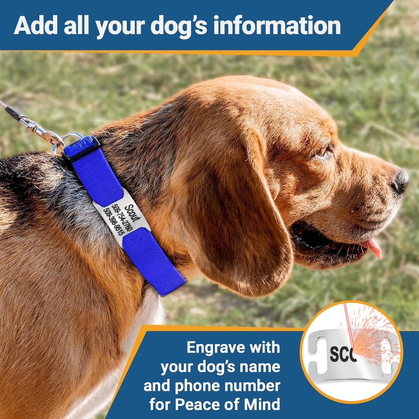 GoTags Reflective Personalized Dog Collar with Nameplate, Adjustable Dog Collar with Custom Engraved Steel Slide On Pet ID Tag, Silent, No Noise Dog Tag for Large Medium or Small (Charcoal, Medium)