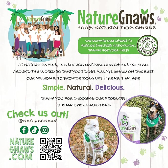 Nature Gnaws Braided Pork Bully Sticks for Dogs 5-6" (20 Count) - Long Lasting for Small and Medium Dogs - Natural Bacon Dog Chew Treats - Rawhide Free
