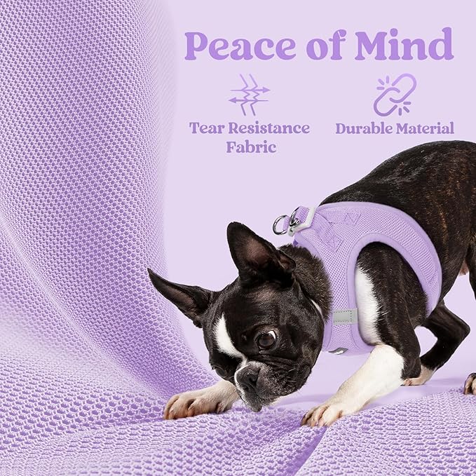rabbitgoo Small Dog Harness, Step-in Soft Mesh Puppy Vest with Safety Buckle, Breathable Reflective Pet Harness for Small Medium Dogs, Light Purple XL