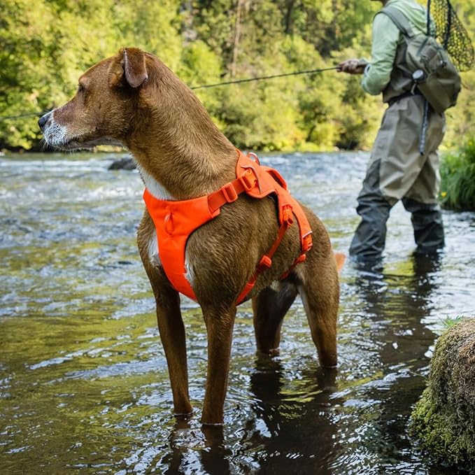 Ruffwear, Web Master, Multi-Use Support Dog Harness, Hiking and Trail Running, Service and Working, Everyday Wear, River Rock Green, Medium