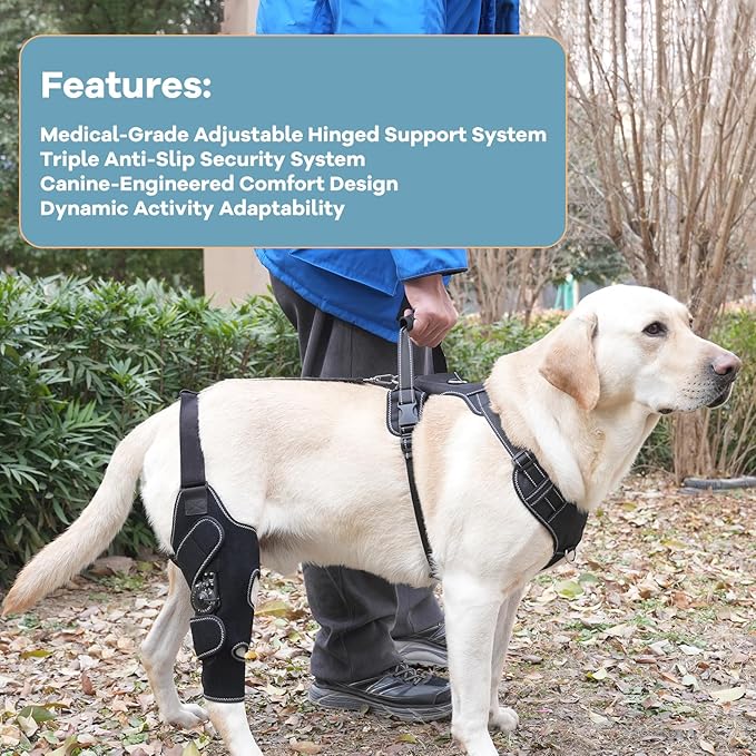 Dog Knee Brace with Adjustable Support – ACL & CCL Tear Recovery, Post-Surgery Stabilization, Mobility Aid for Rear Legs – Includes Secure Chest Harness for Dogs(Left,M)