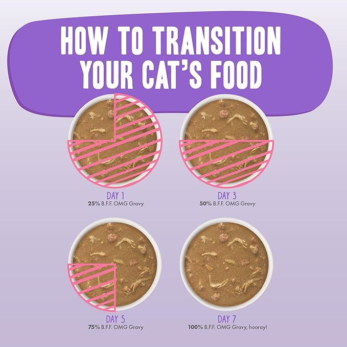 Weruva B.F.F. OMG - Best Feline Friend Oh My Gravy!, Tuna & Salmon Start Me Up with Tuna & Salmon, 2.8oz Can (Pack of 12)