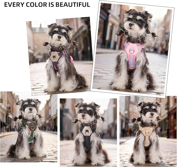 Small Dog Harness and Leash Set, Breathable Mesh Puppy Harness, Adjustable Dog Harness for Small Medium Large Dogs, No-Pull Pet Harness for Daily Walking (Faint Yellow, Large)