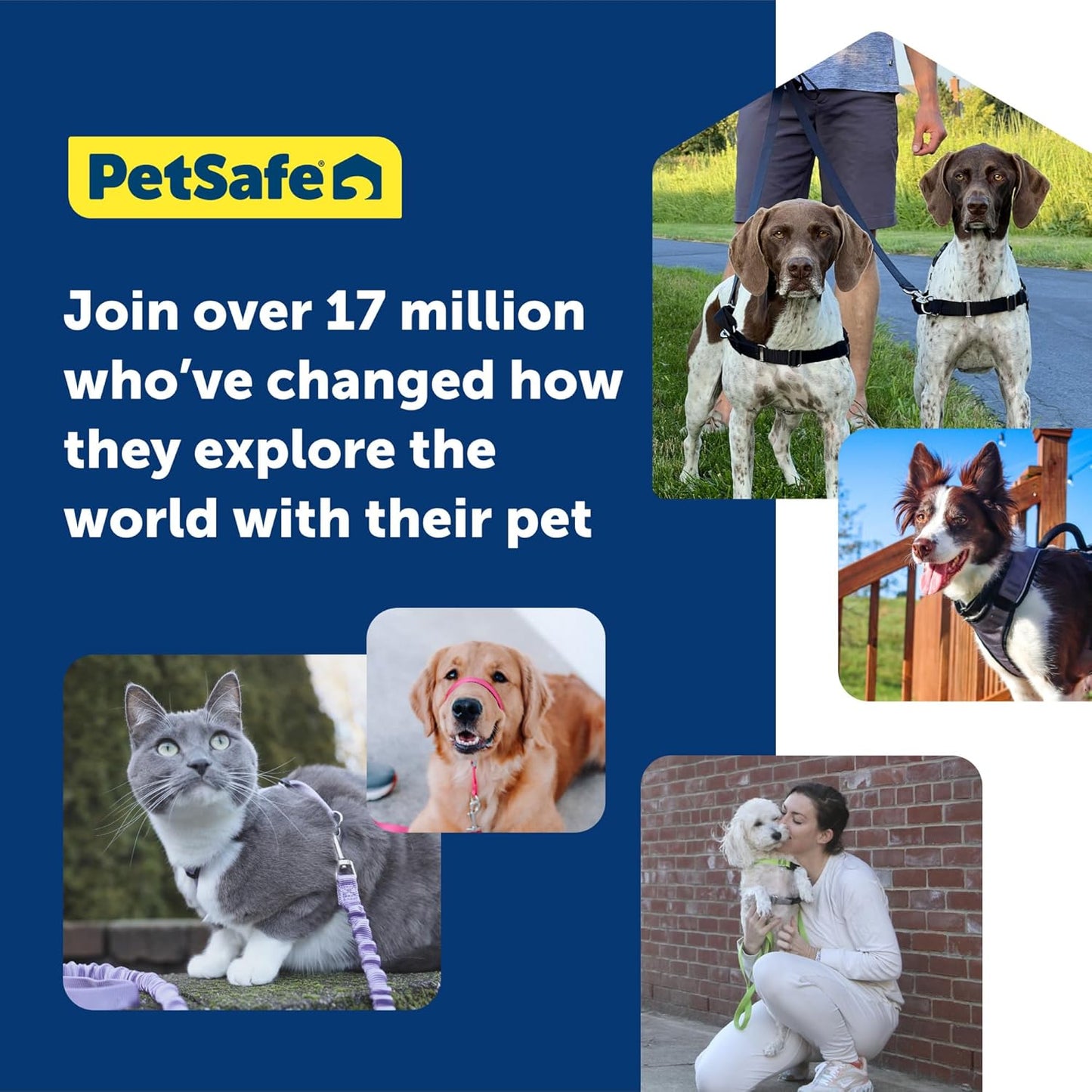 PetSafe 3 in 1 Dog Harness - No Pull Solution for Dogs - Reflective Dog Harness - Front D-Ring Clip Helps Stop Pulling - Comfortable Padded Straps - Top Handle Enhances Control - Teal - Large