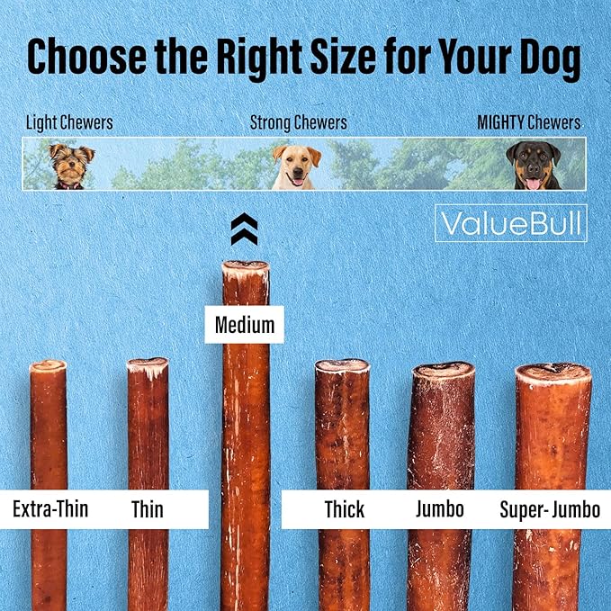 ValueBull Bully Sticks for Dogs, Medium 12 Inch, 25 Count - All Natural, Grass Fed, Single Ingredient, Long Lasting Dog Treats