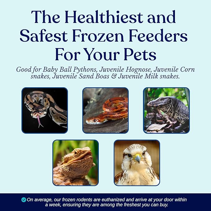 MiceDirect Frozen Pinkie Rat Food for Corn, Rat, King Snakes & Other repitles. (100 Count)