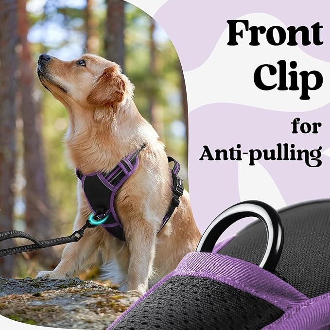 rabbitgoo Dog Harness for Large, No Pull Pet Harness with 3 Buckles, Adjustable Soft Padded Vest with Control Handle, Walking Reflective Pet Vest for Large Dogs, Black & Purple, L