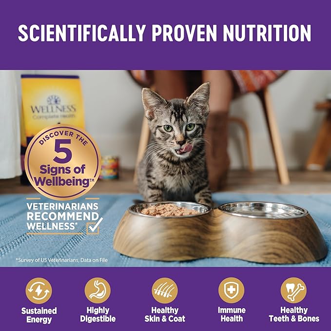 Wellness Complete Health Sliced Adult Wet Cat Food, Natural, Protein-Rich, Grain Free, 3 Ounce, 24 Pack, (Chicken Entrée)