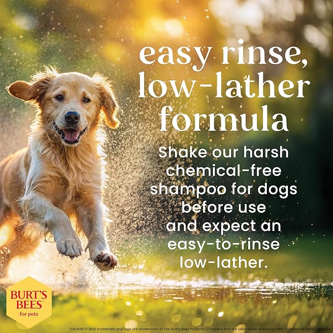 Burt’s Bees for Pets Oatmeal Dog Shampoo with Honey, Soothing Dog Shampoo for Itchy and Sensitive Skin, pH Balanced Formula that Gently Cleans and Moisturizes Dog Coats, 32 Fl Oz - 2 Pack