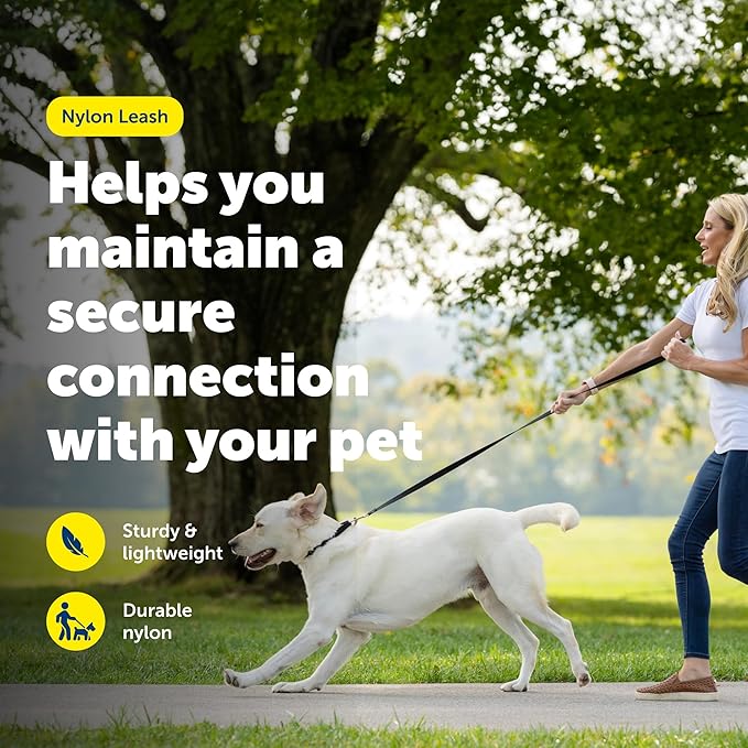 PetSafe Nylon Leash - Everyday Use Dog Leash - Lightweight Nylon - Quick Attach - Durable Pet Lead - 3/4" Wide - 6 Foot - Red