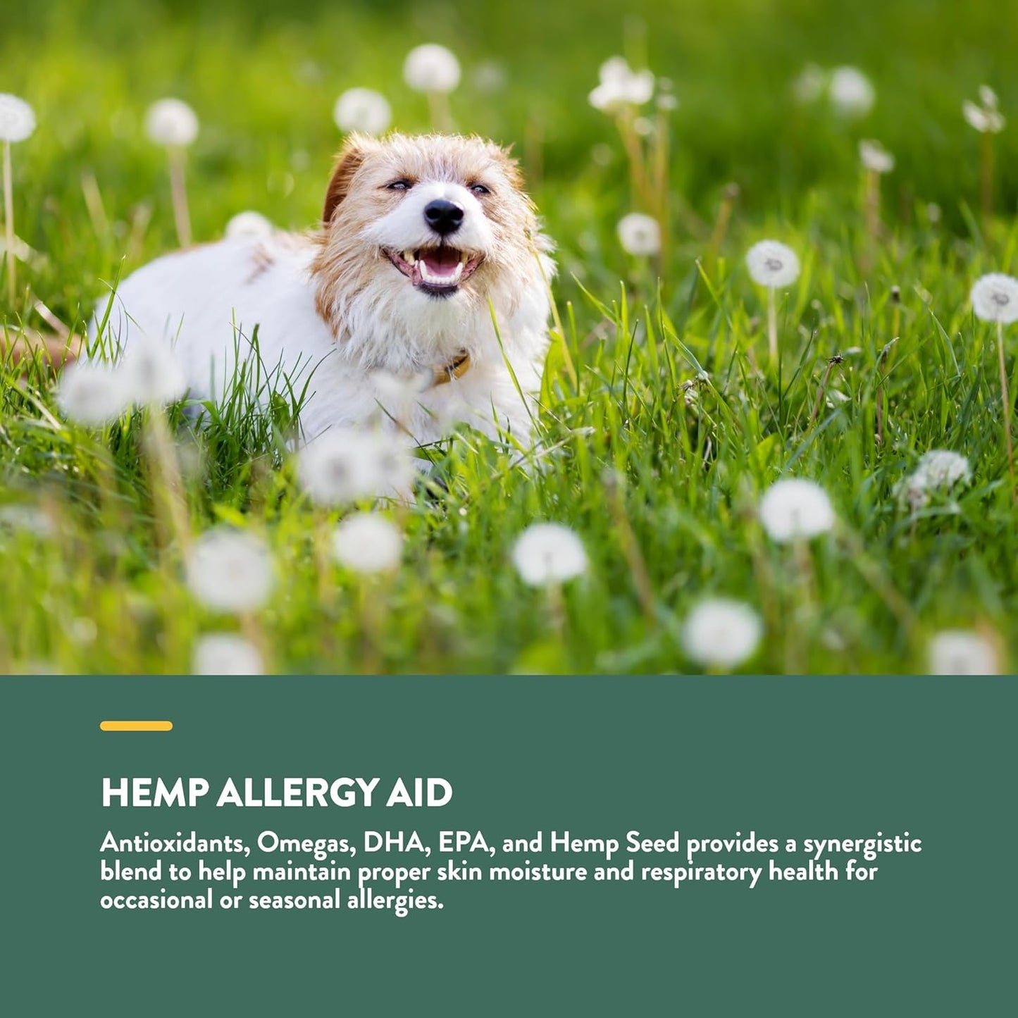 NaturVet Hemp Allergy Aid Supplement for Dogs, Hemp Seed, Antioxidants, Omegas, Dha & Epa for Healthy Skin & Respiratory Health, 60 Count