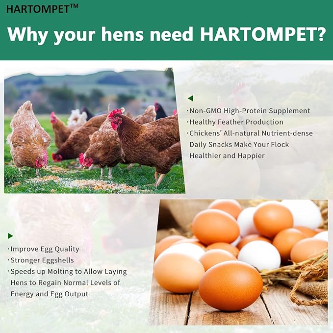 HARTOMPET Better Than Dried Mealworms for Chickens 2 lbs - 85X More Calcium Than Meal Worms - Non-GMO Chicken Feed Additive & Molting Supplement - BSFL Treats for Hens, Ducks, Wild Birds
