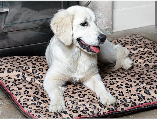 Shires Digby & Fox Waterproof Dog Bed, Leopard