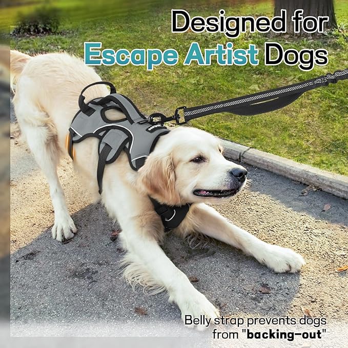 rabbitgoo Escape Proof Dog Harness, Soft Padded Full Body Pet Harness, Reflective Adjustable No Pull Vest with Lift Handle and Leash Clip for Large Dogs Walking Hiking Training, M, Grey