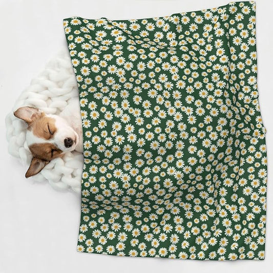 Pet Blanket for Travel and Home, Shabby Chic Flower Daisy Roses Spring Season Theme Green, Reversible Plush Dot Design with Soft Grip Texture on One Side Perfect for Car Seats Moving Vehicles