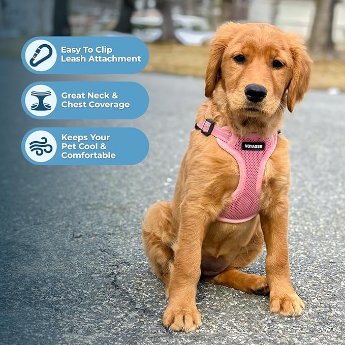 Best Pet Supplies Voyager Adjustable Step-in Flex Breathable Mesh Dog Harness for Small Medium Large Dogs Leash Set (Pink), M